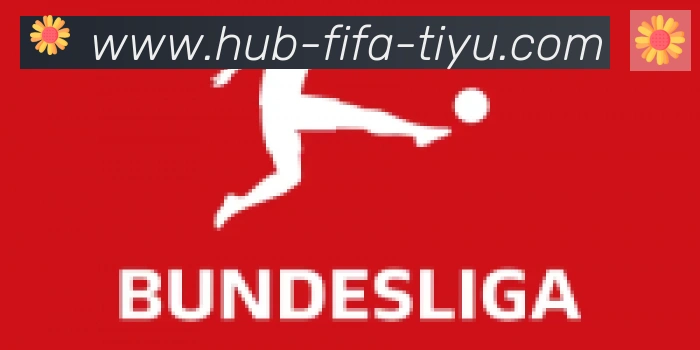 FIFA世界杯买球入口合作伙伴